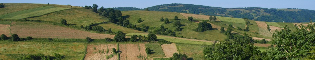 Sdružení Čechů z Banátských Karpat