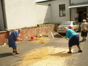 SETKÁNÍ 2008 FOTO